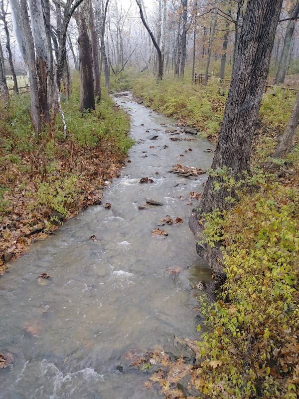 Forest Run MetroPark - Image 2
