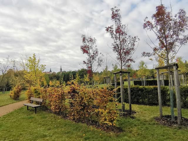 Park Lesík - Image 3
