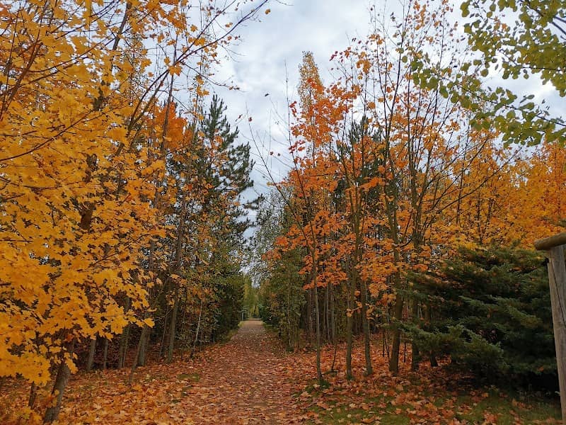 Park Lesík - Image 2