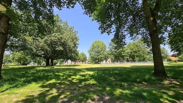 Mooiste park - Image 2