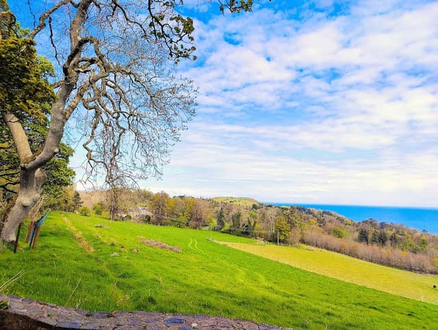 Carnfunnock Country Park - Image 3