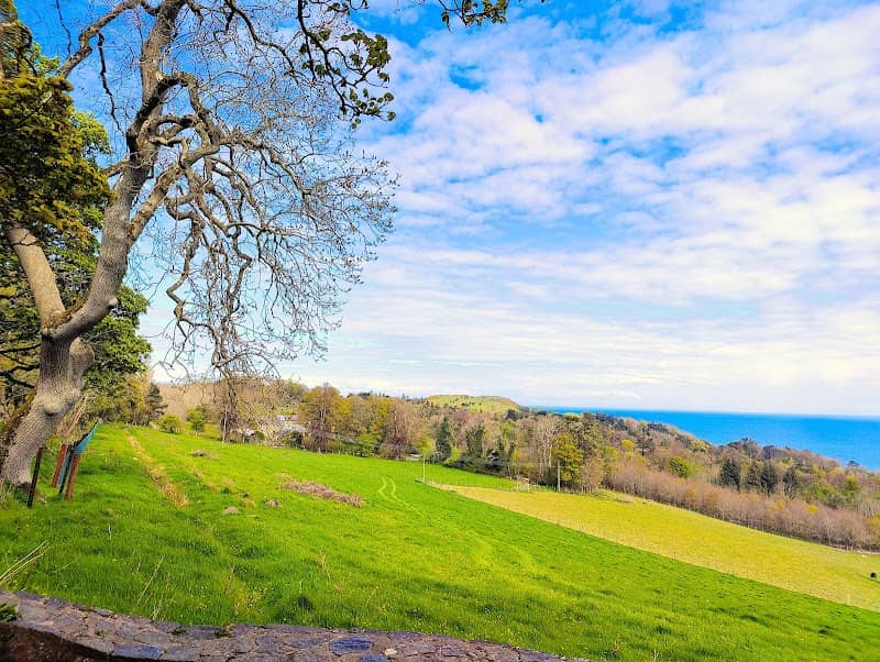 Carnfunnock Country Park - Image 3