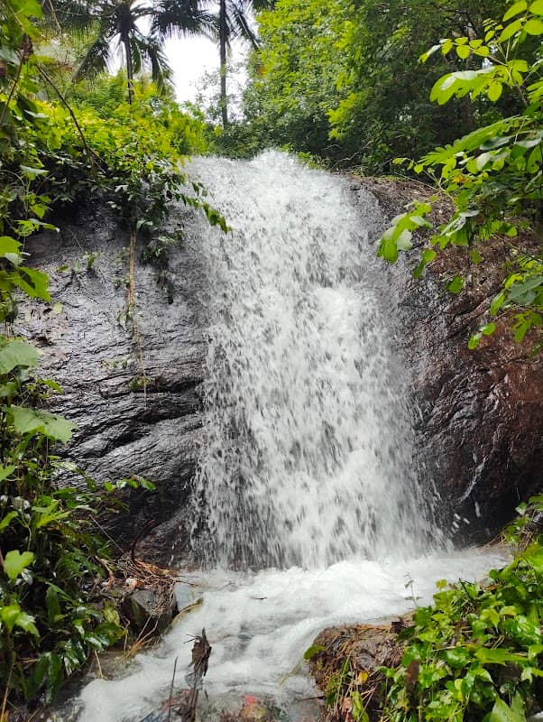 Parayaruvi waterfalls - Image 1