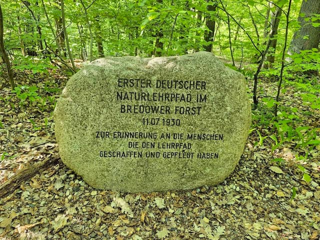 Bredower Forst - Image 1