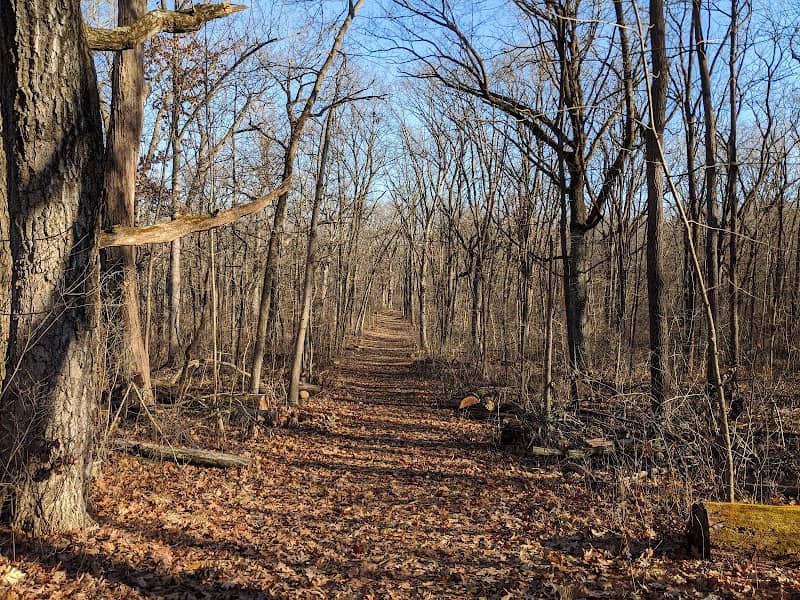 Bristol Woods County Park - Image 1