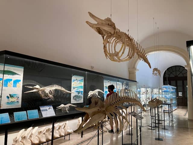 Museo del Mare - Image 1