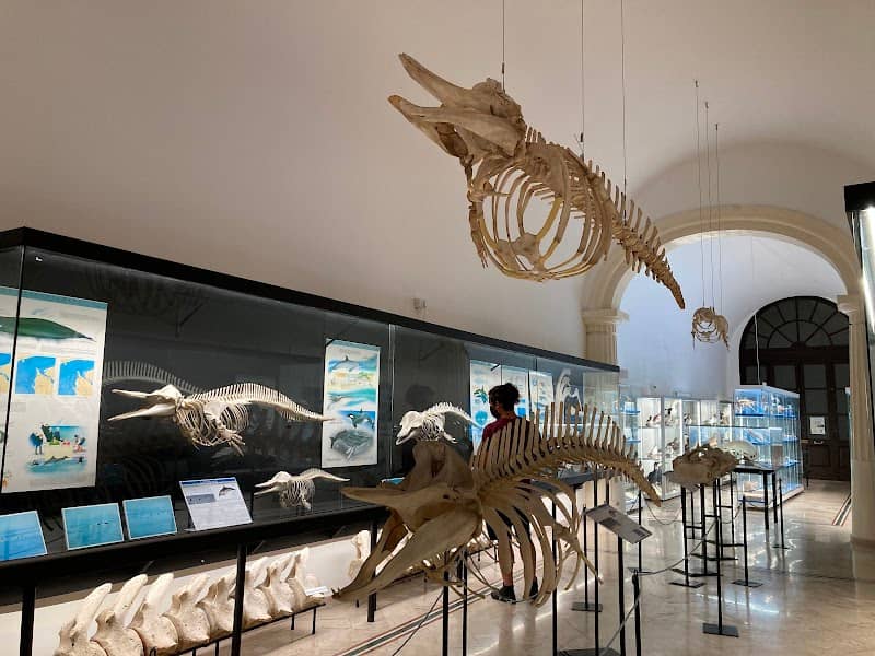 Museo del Mare - Image 1