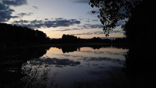 Berknappweiher am Stadel - Image 1