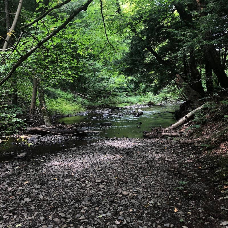Schodack Town Park - Image 2