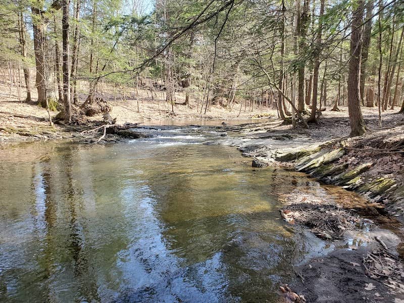 Schodack Town Park - Image 1