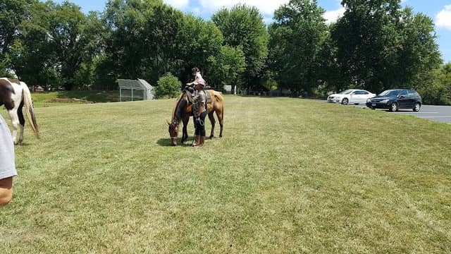 Home Heights Park - Image 2