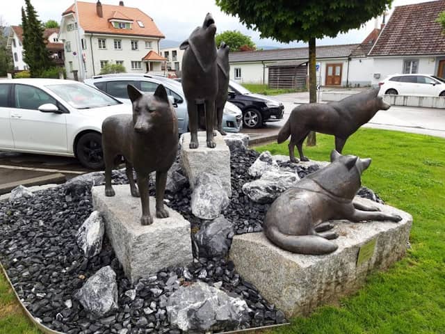 Meute de 5 loups - Image 1