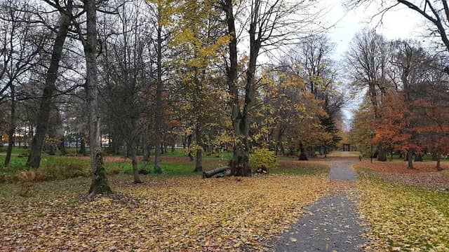 Laidoneri Park - Image 2