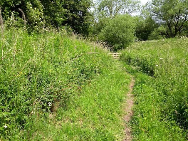 Bonny Grove Nature Reserve - Image 1