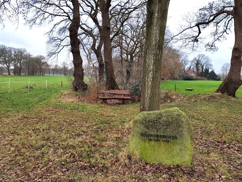 Währungseiche Achternholt - Image 1