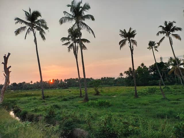 Kalanchira sunrise view point - Image 3