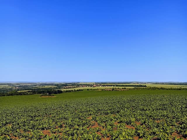 Vinařická mountain - Image 2