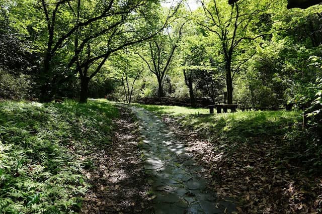 Naganuma Park - Image 2