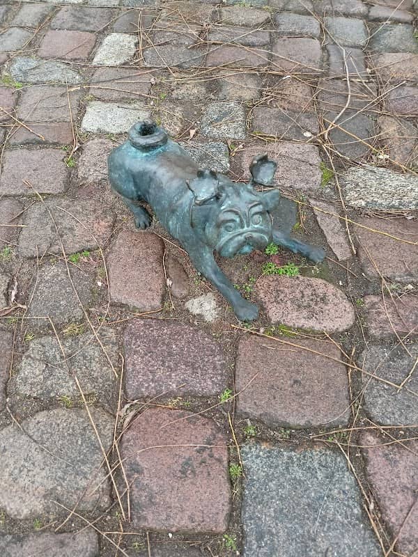Waldmops am Pfaffeufer - Image 1