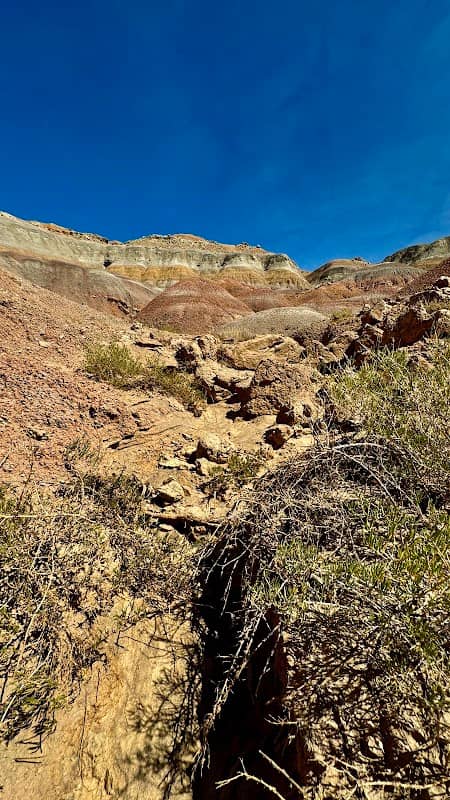 Devils Playground - Image 2