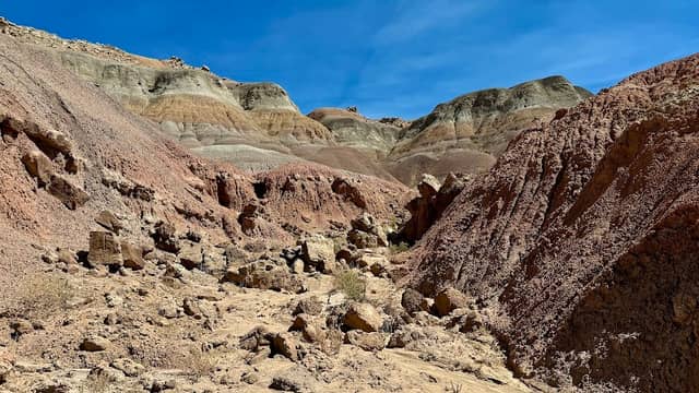 Devils Playground - Image 1