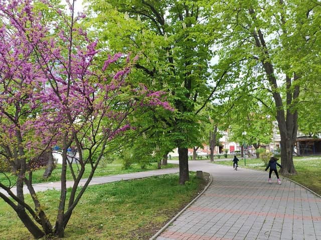 Градски парк - Image 2