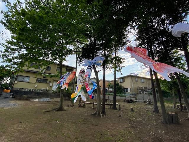 Nakazawa Midden Site - Image 2