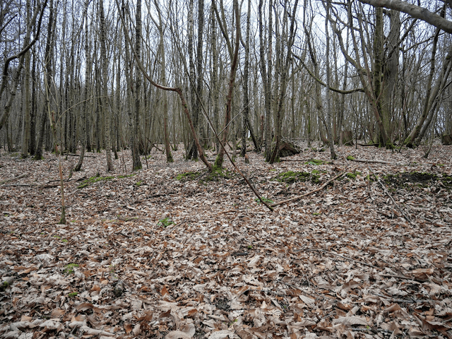 Tilburstow Hill - Image 1