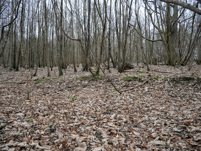 Tilburstow Hill - Image 1