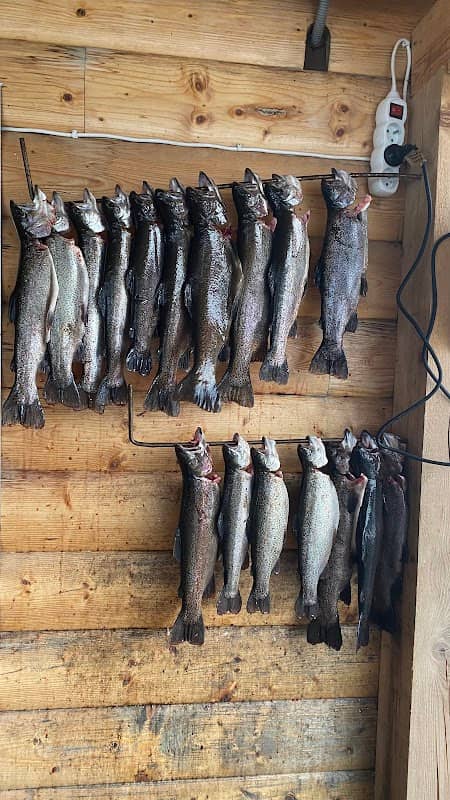 Trout Arena - Image 2