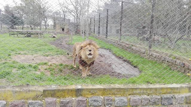 The Municipal Zoo Park High - Image 2
