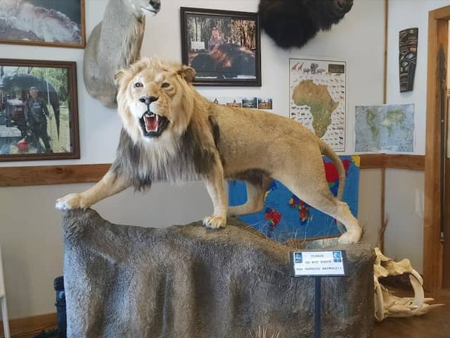 Spear Hunting Museum - Image 1