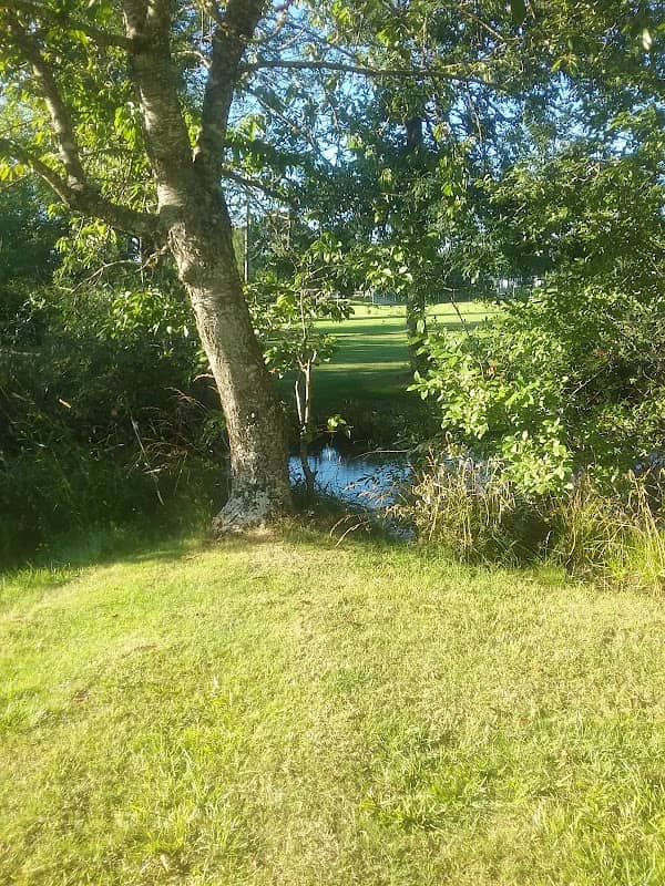 Hillendale Park - Image 2