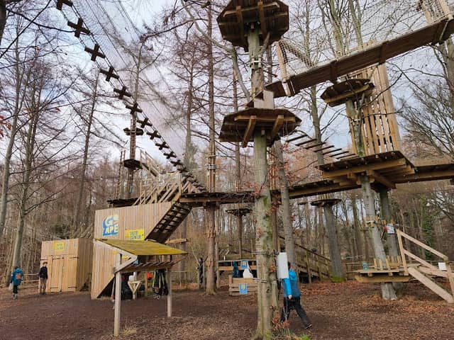 Go Ape Dalkeith - Image 2