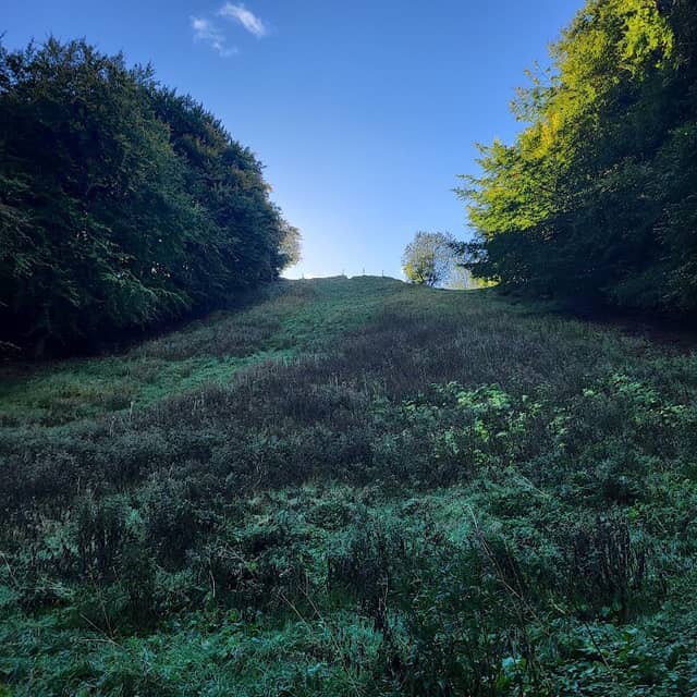 Coopers Hill nature reserve - Image 2