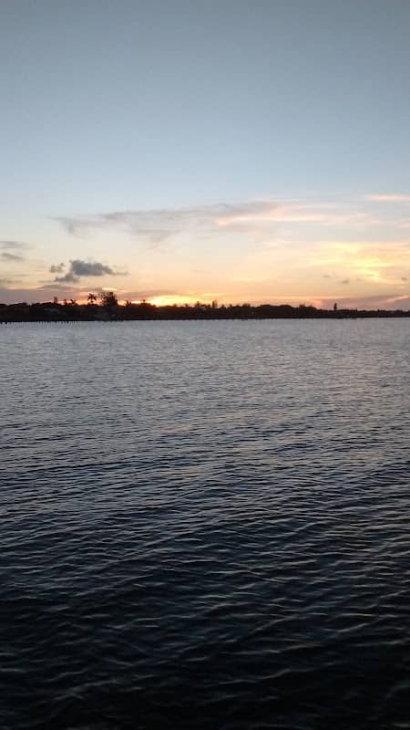 Bird Sanctuary - Image 2
