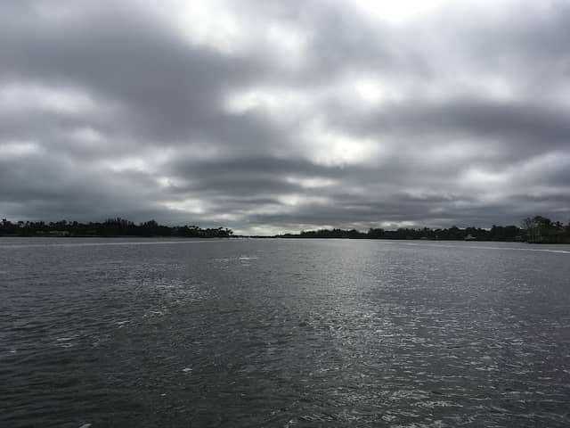 Bird Sanctuary - Image 1