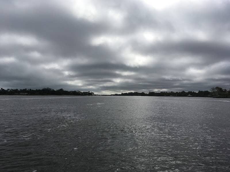 Bird Sanctuary - Image 1