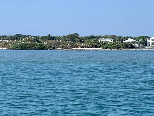 Bird Sanctuary - Image 3