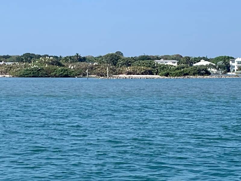 Bird Sanctuary - Image 3