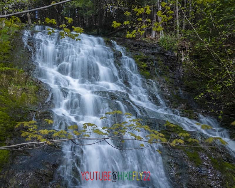 Muckross State Park - Image 2