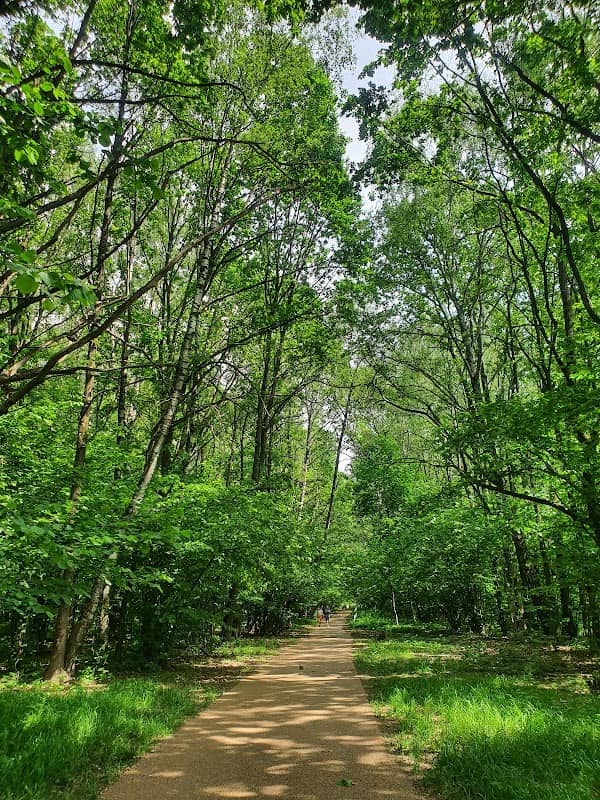 Bittsevskiy Park - Image 1