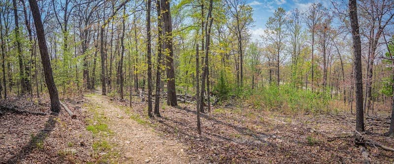 James Monroe Memorial Park - Image 1