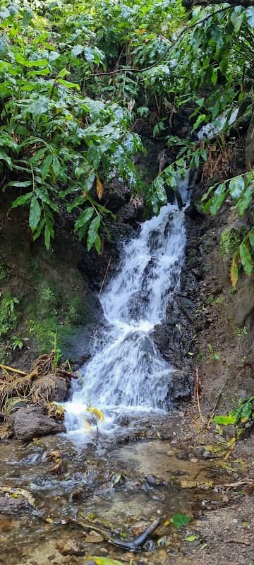 Salto PIT - Image 1