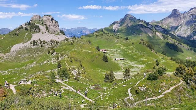 Botanischer Alpengarten Schynige Platte - Image 1
