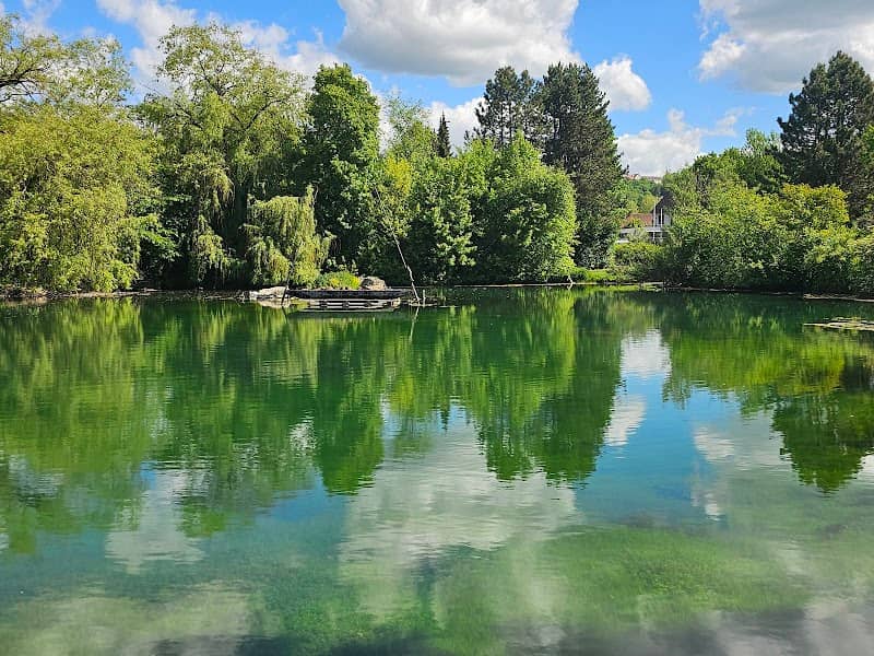Burgwiesensee - Image 1