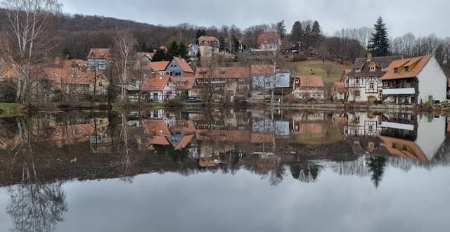 Zainthüttenteich - Image 1