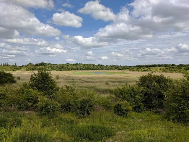 Dogsthorpe Star Pit - Image 2