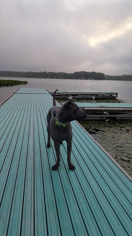 Lakemore Boat Ramp - Image 2