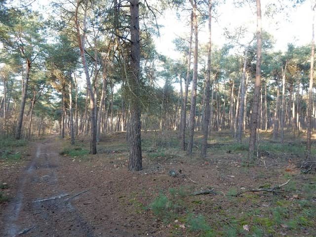 Boschhuizerbergen - Image 1